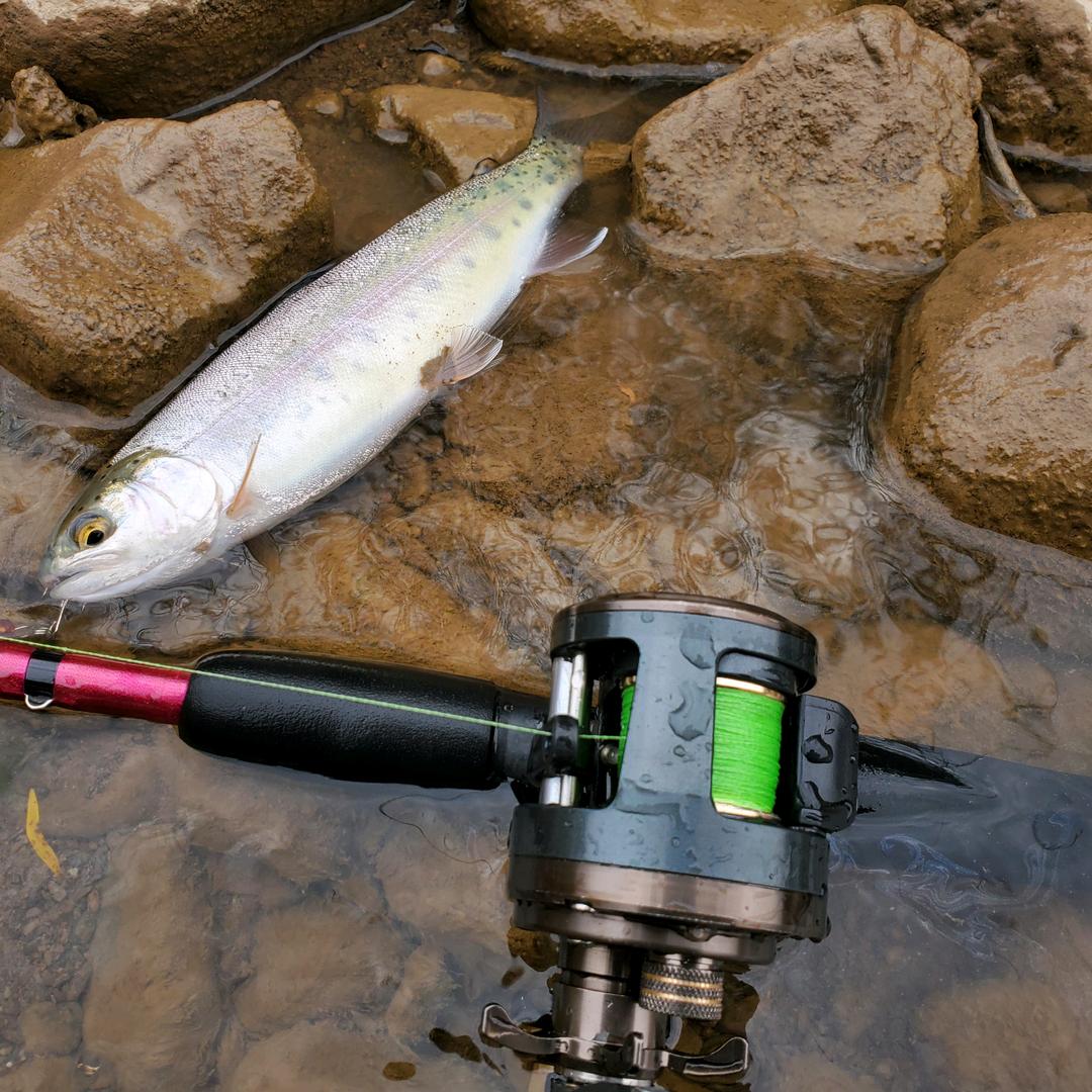 黑风寨主江大力