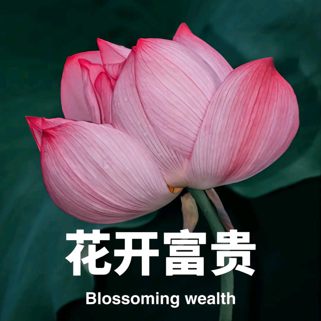 任l