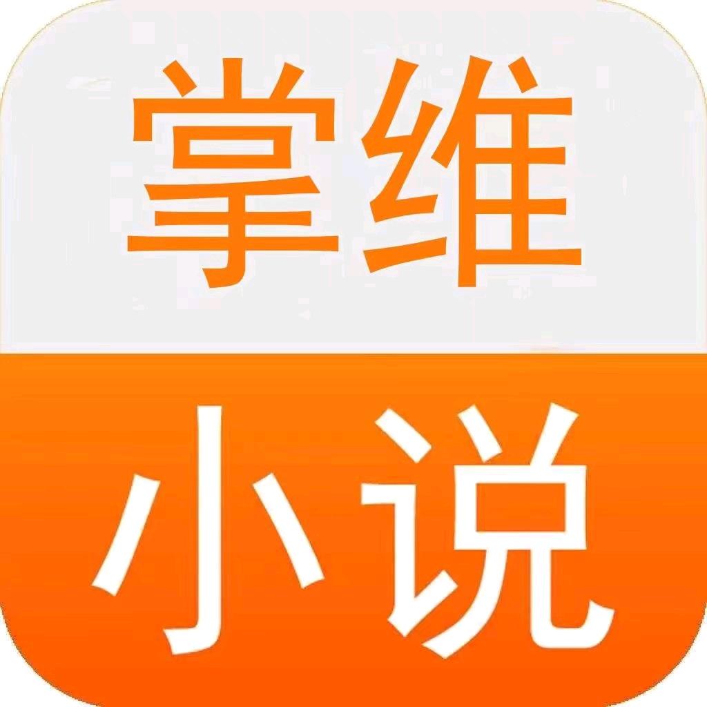 掌维网络小说