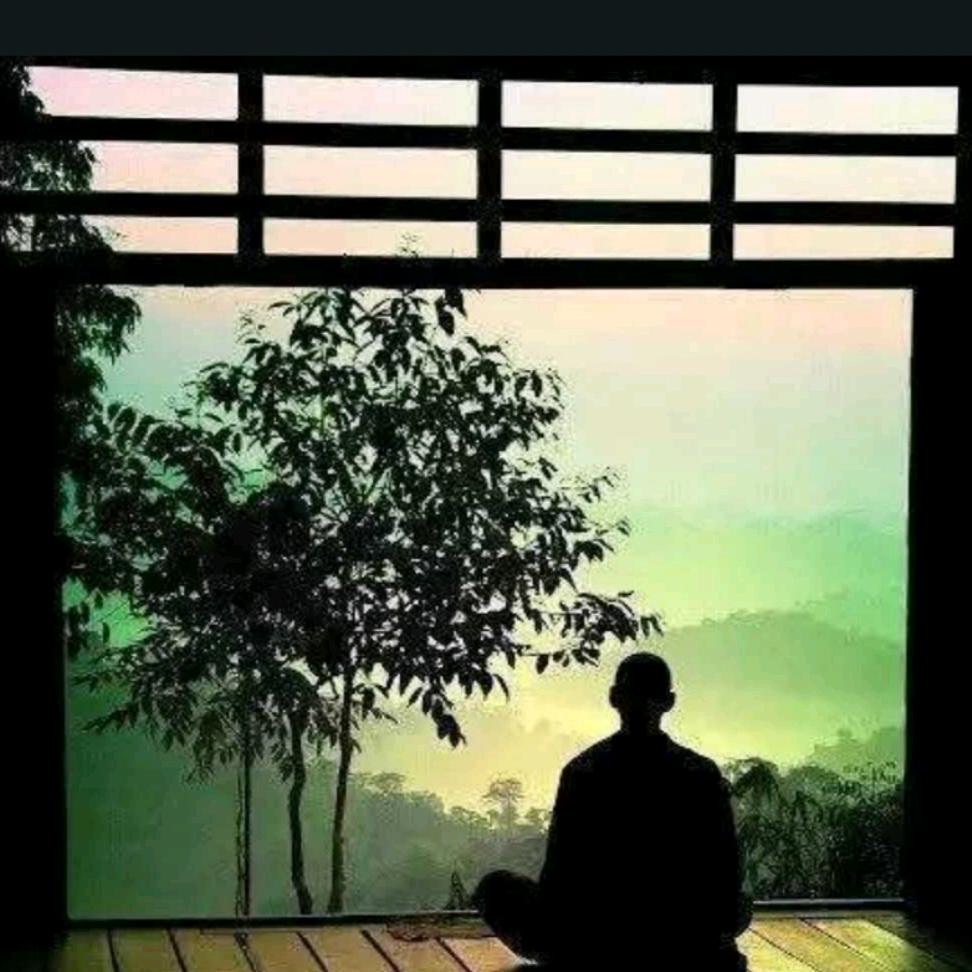 红尘悲心