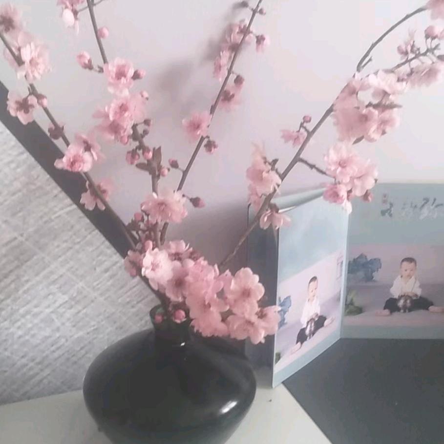 旧羽绒服改羽绒被