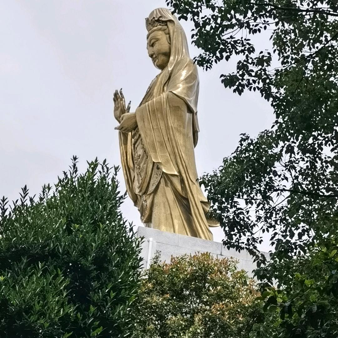 八戒