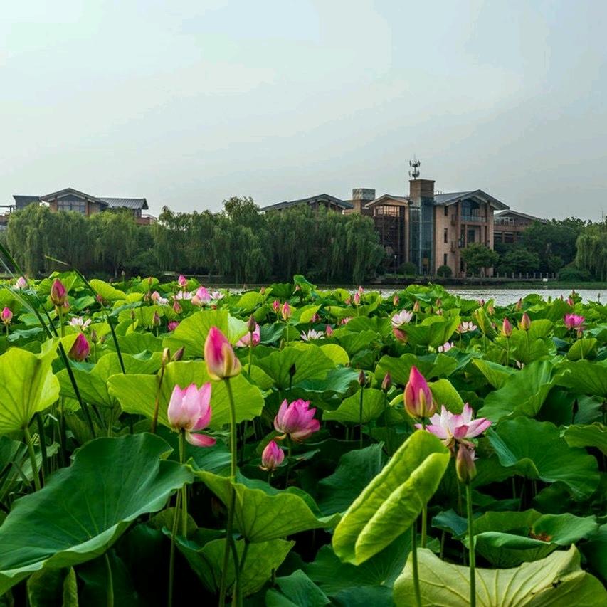 镇江一泉金山湖畔酒店分公司