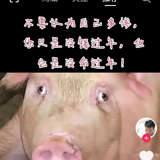年轻的心