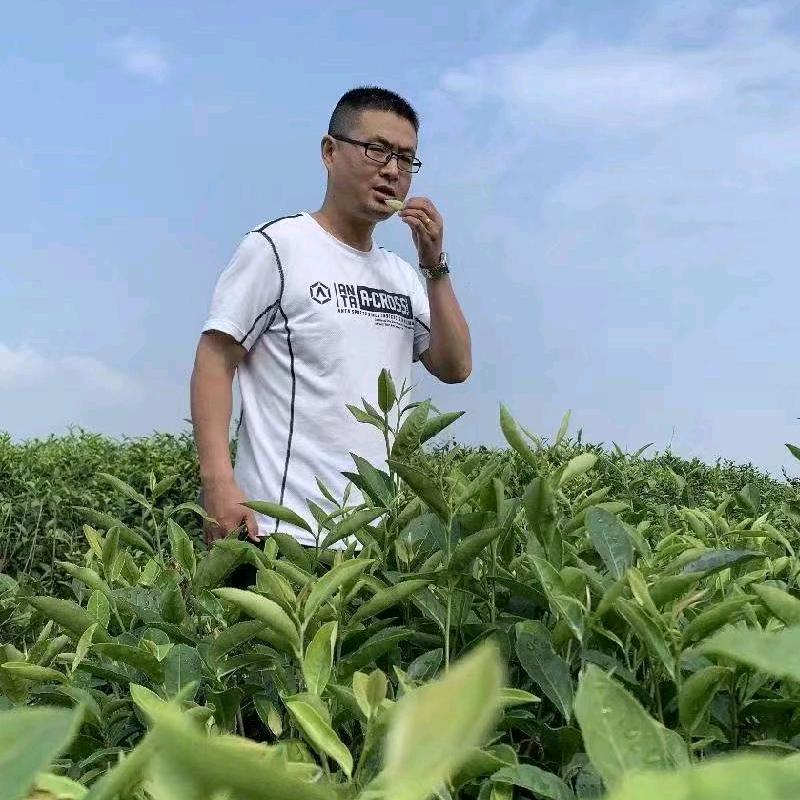 张新春：专注蛋鸡高效养殖700天
