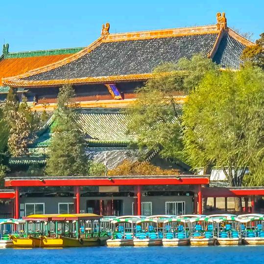 找不到前进的方向