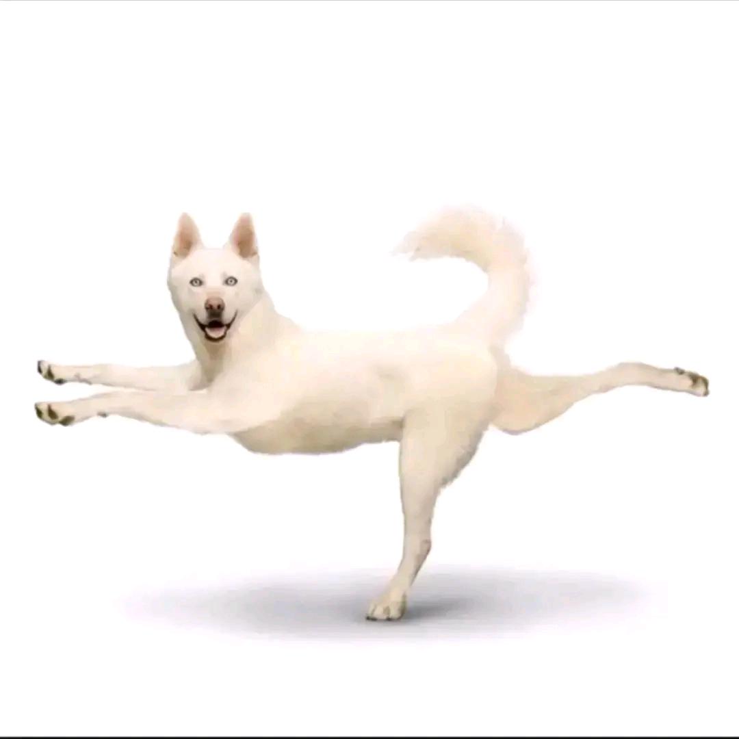 修勾