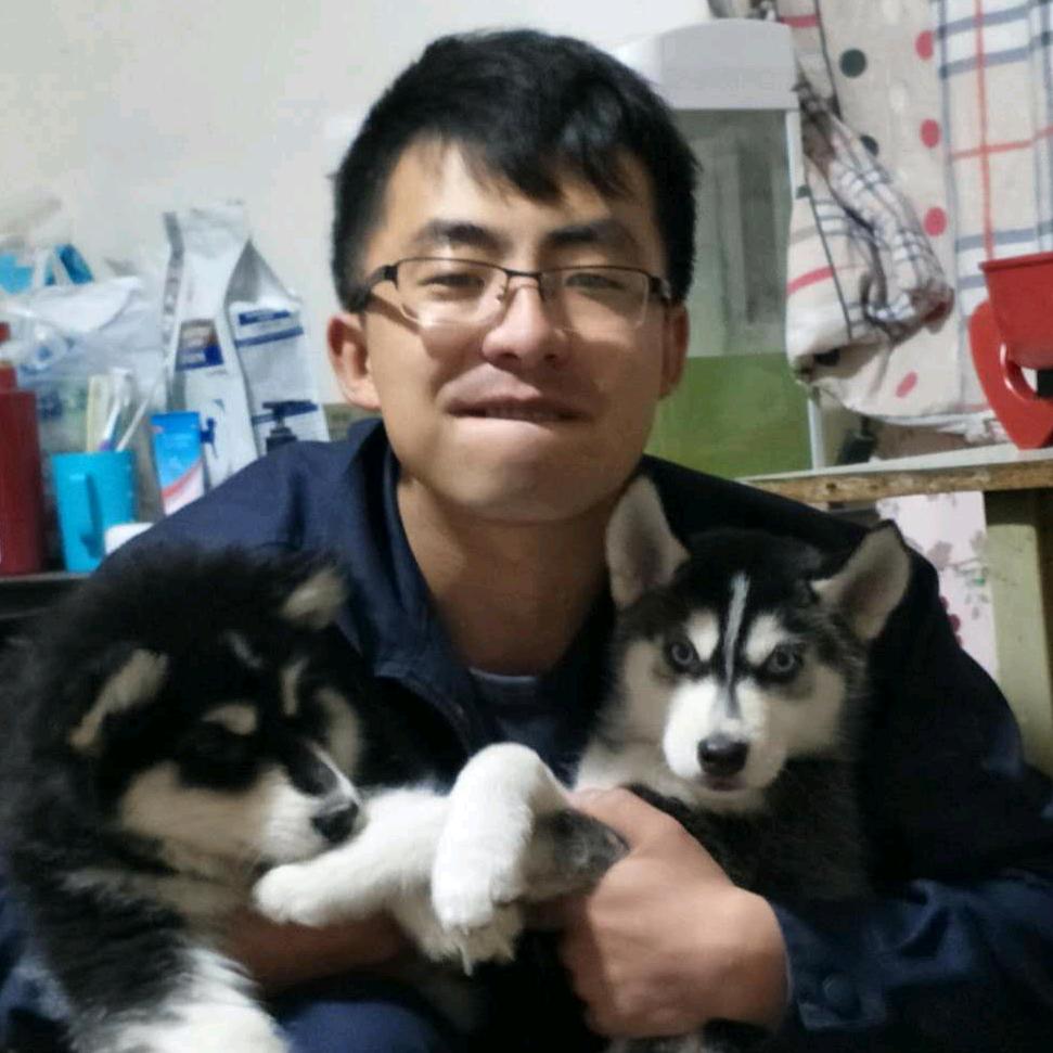 萌宠总动员