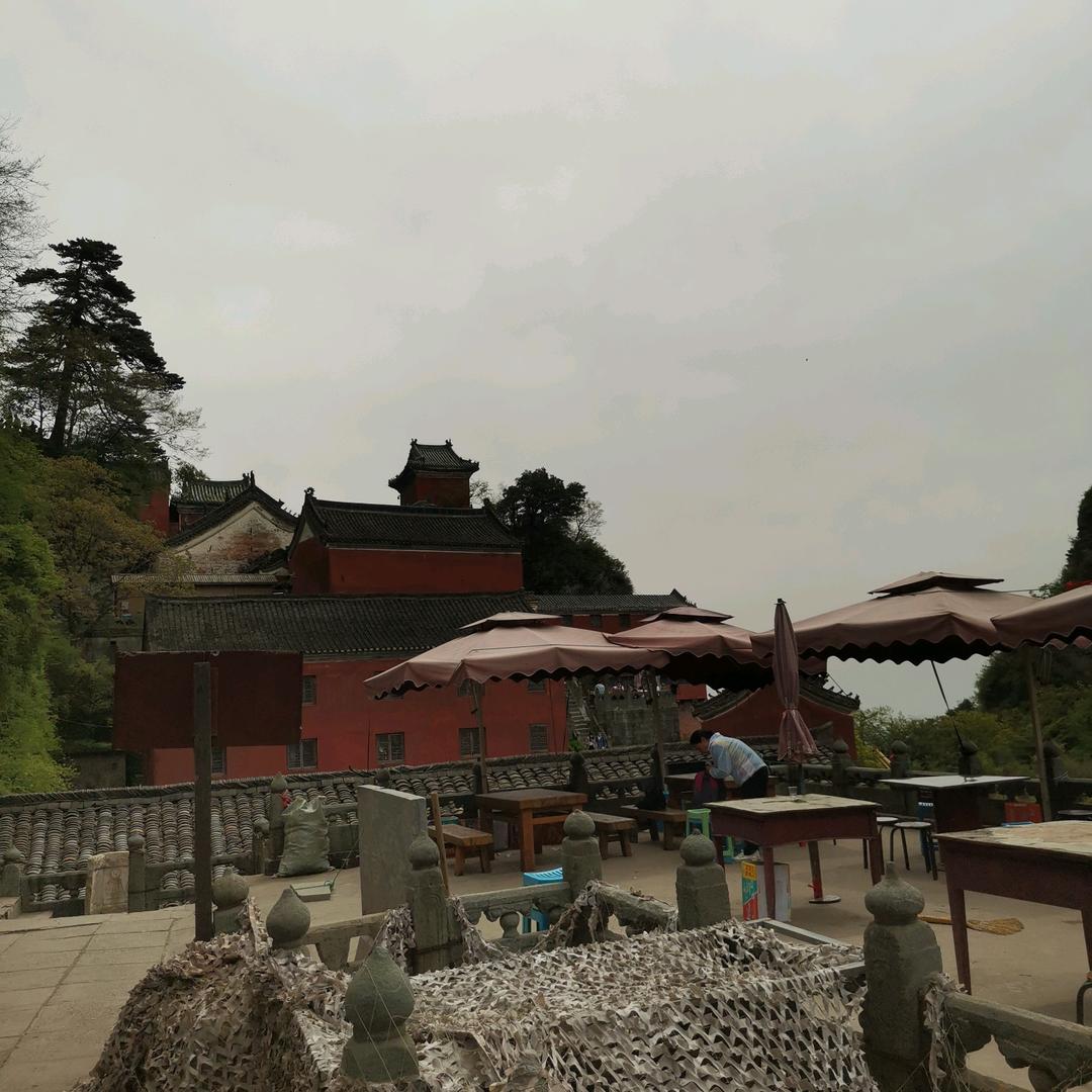 花与海