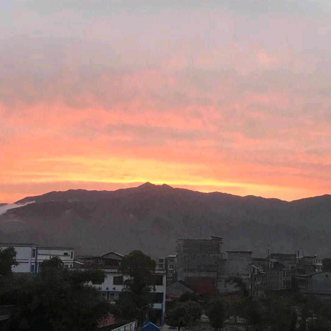 奔搏