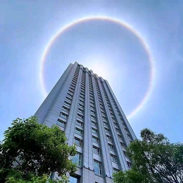 王家大小姐