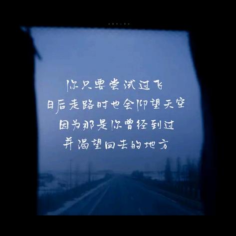 一念花落