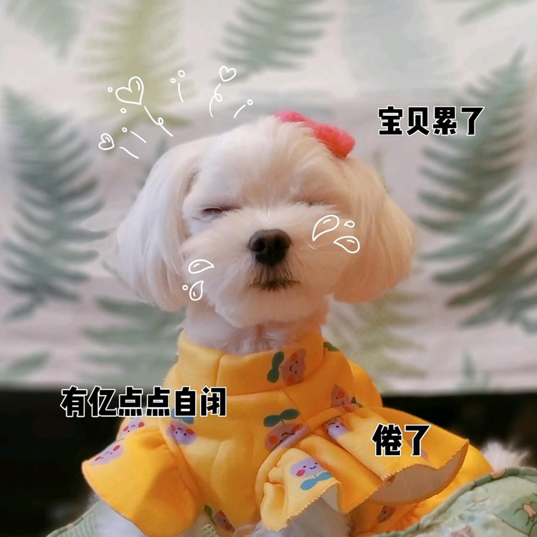 薇安