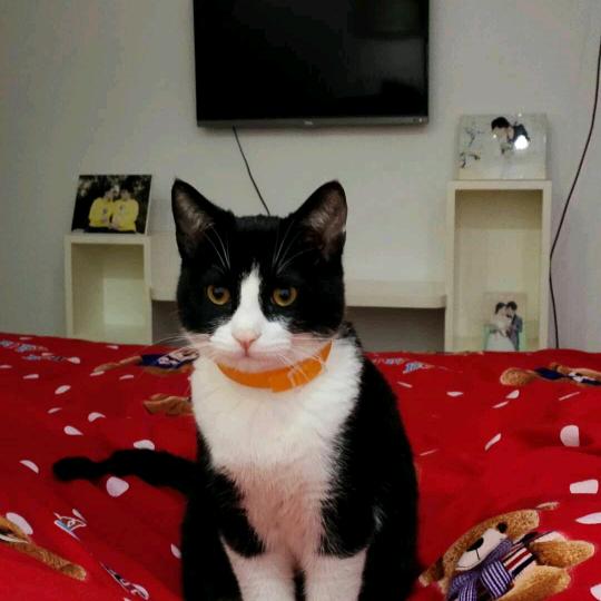 ，开槽，钻孔，砸墙，拆除老房，酒店，宾馆