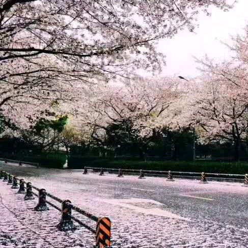 苏韵