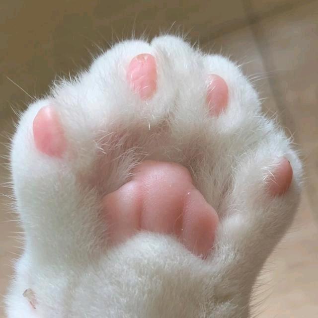 痘痘牛头像