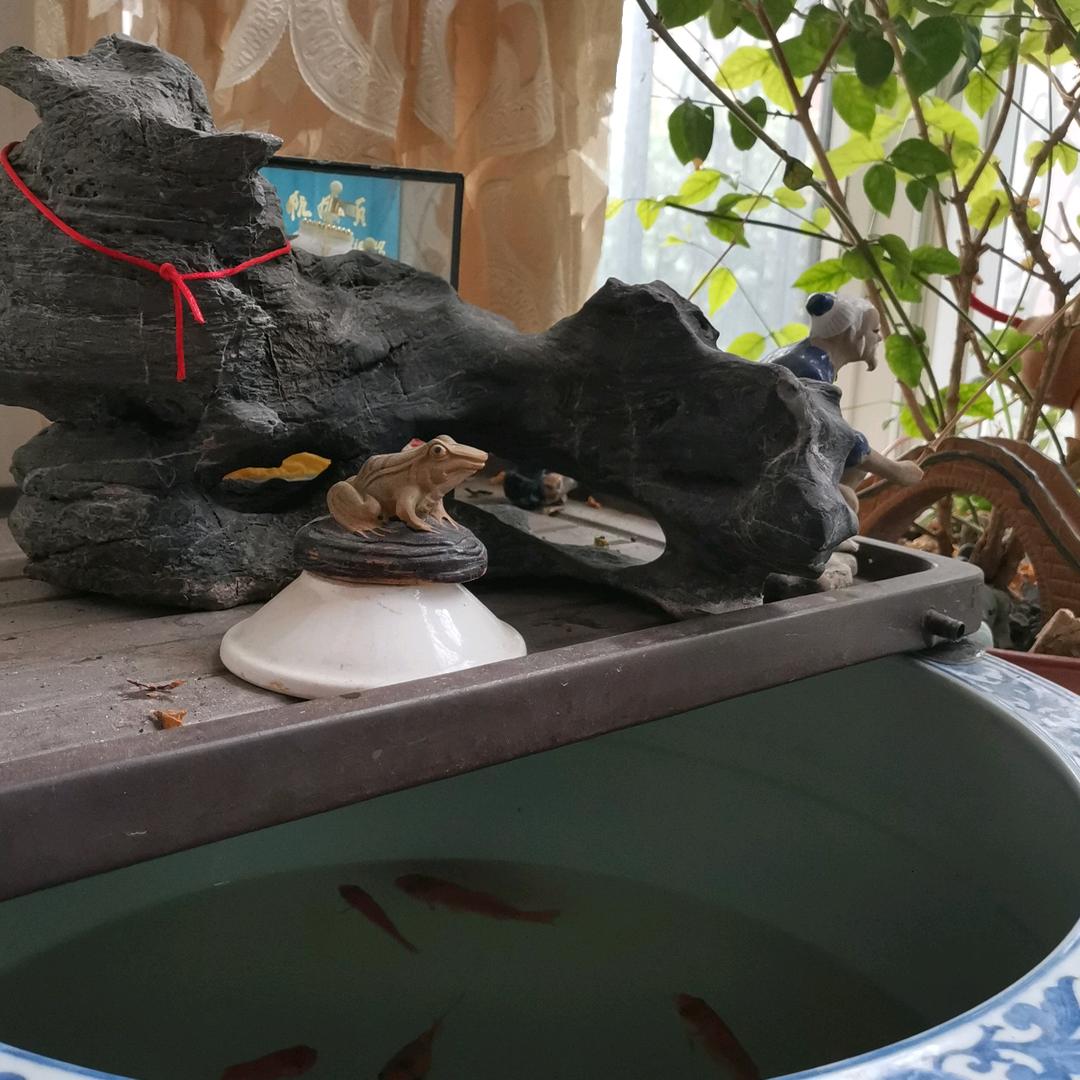 用户330560424风华正茂