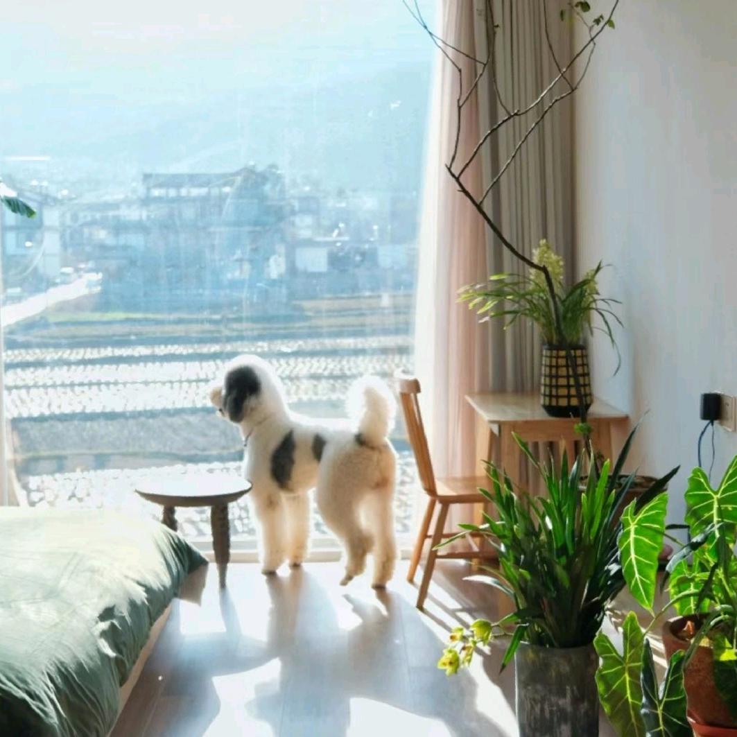 大理植無界自然美学民宿