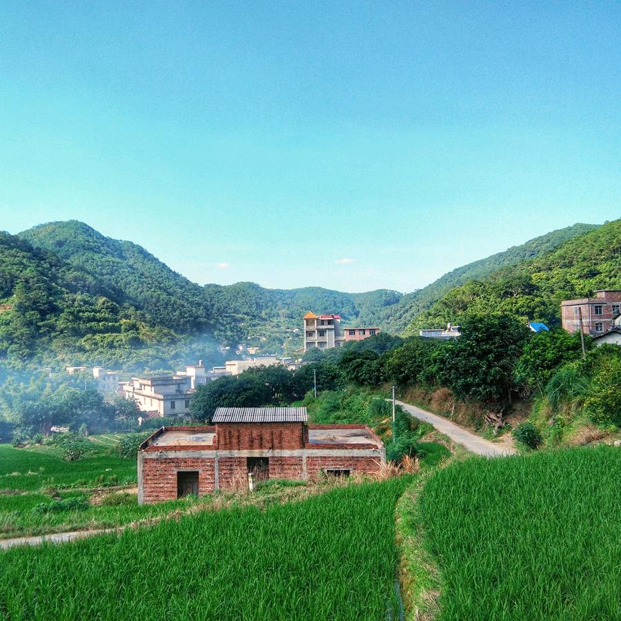 小米美食分享
