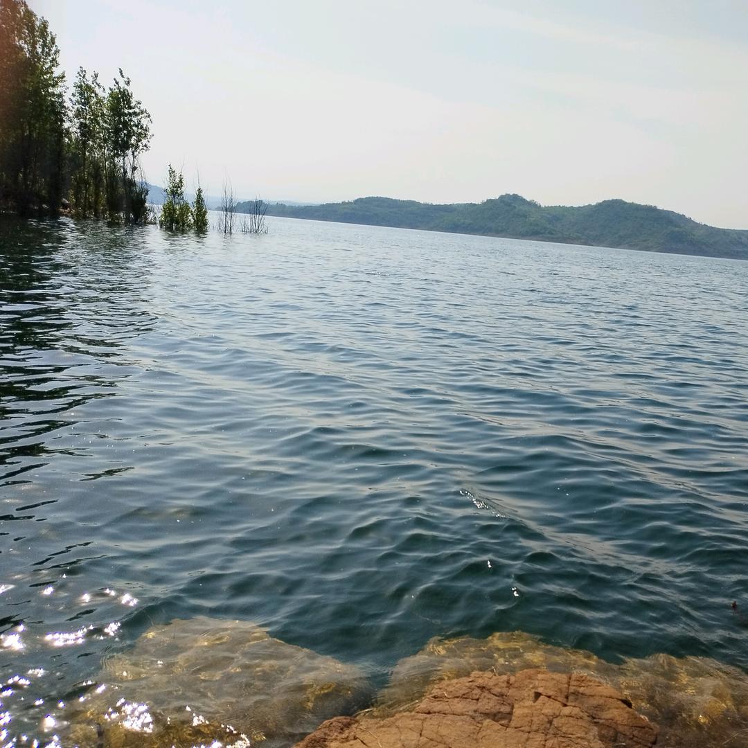 🇨🇳-🎣Чжан