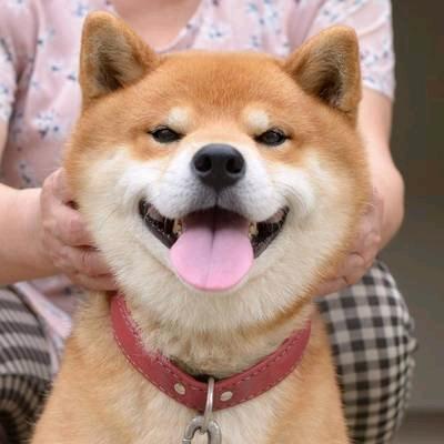 达达剪辑分享