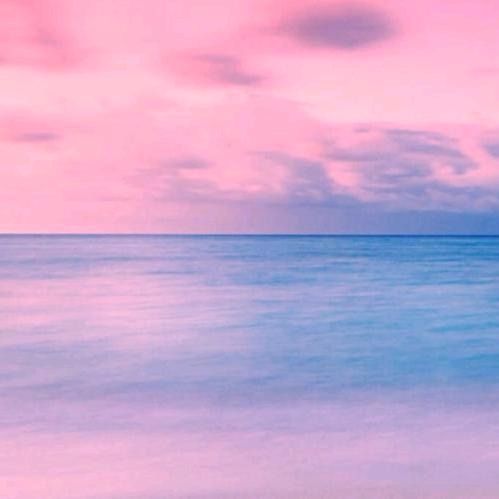 紹與帛客針鐵有限公司