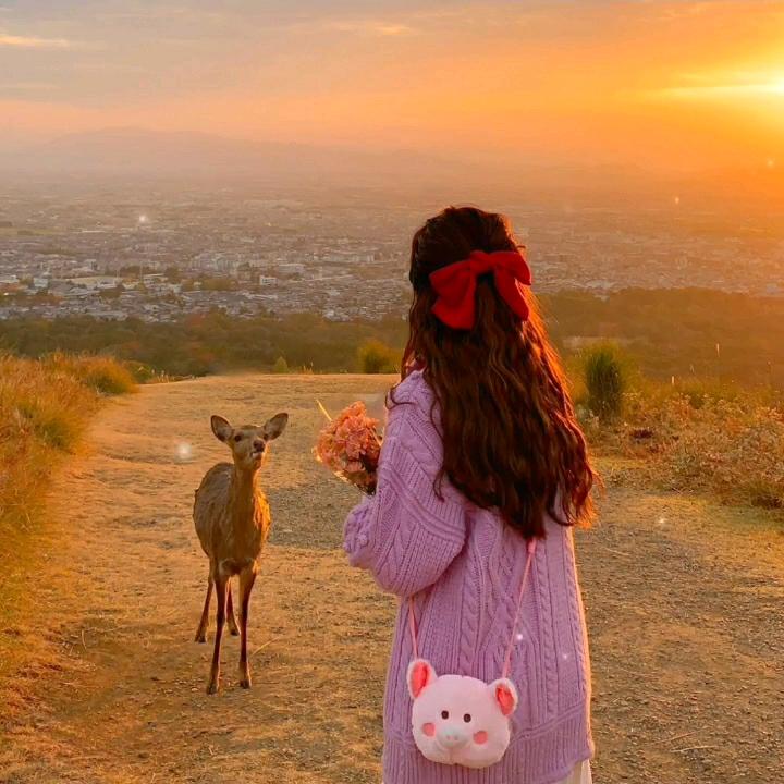 忆往昔惜流年 💕