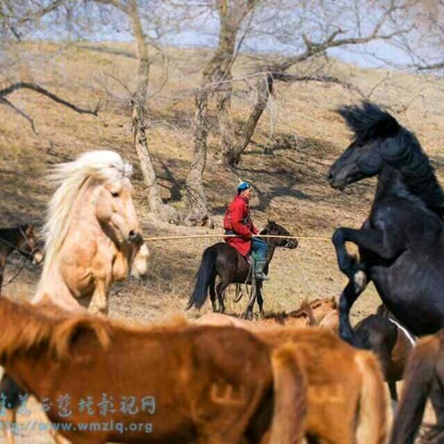 都拉嘎
