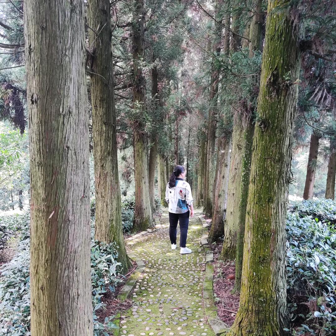 忘记过去，从头再来