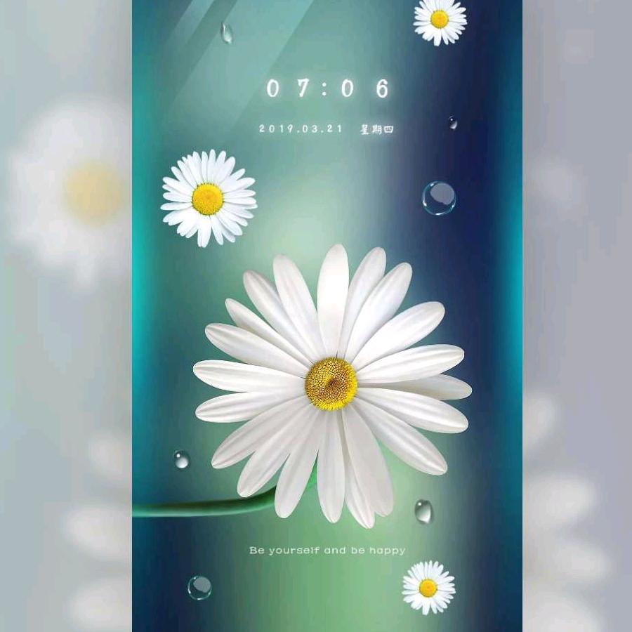 小宁宁（欧普生物兽药公司）