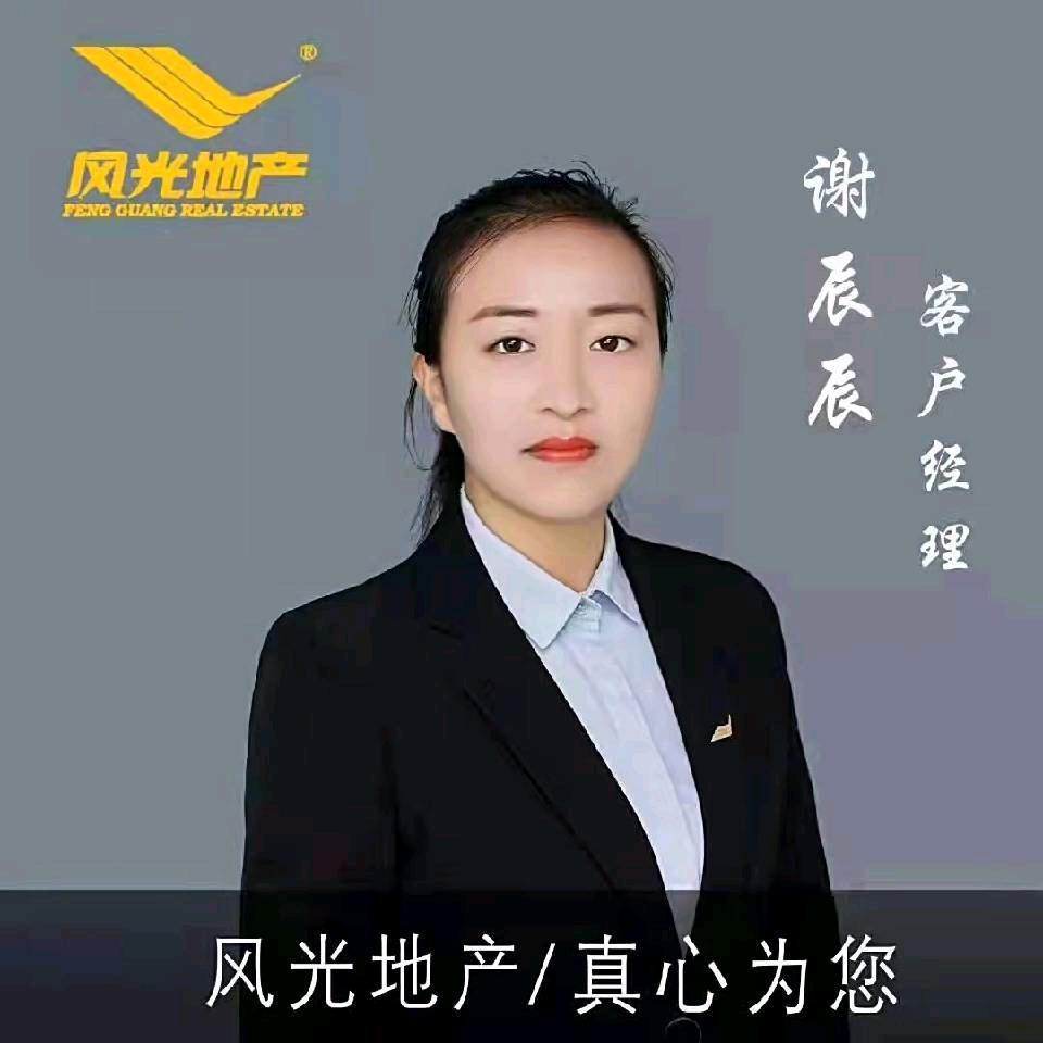 西平房产  谢辰