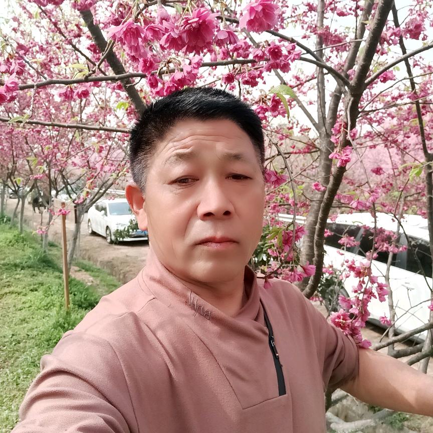 园林销售