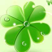 🍀四叶草🍀
