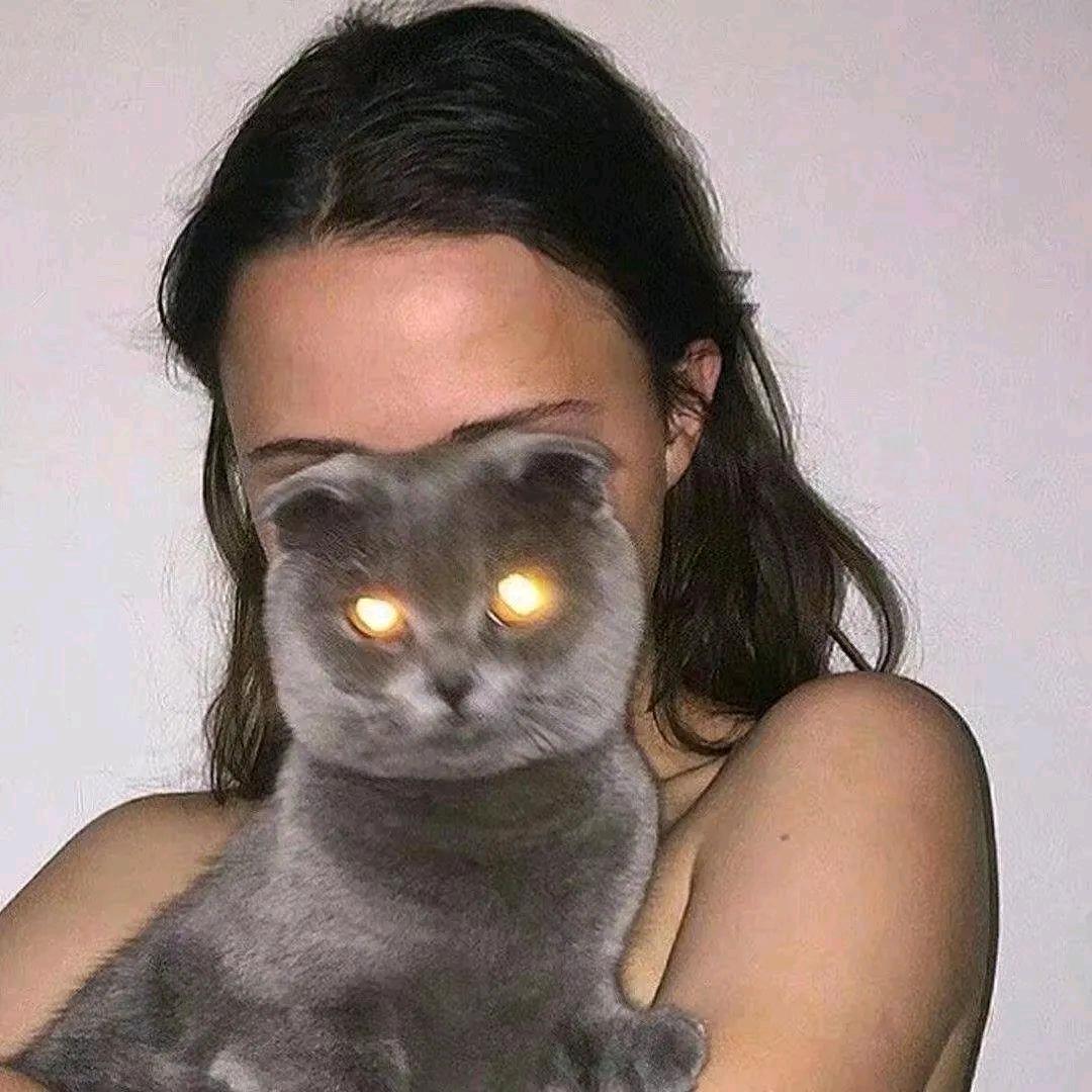 蟹蟹