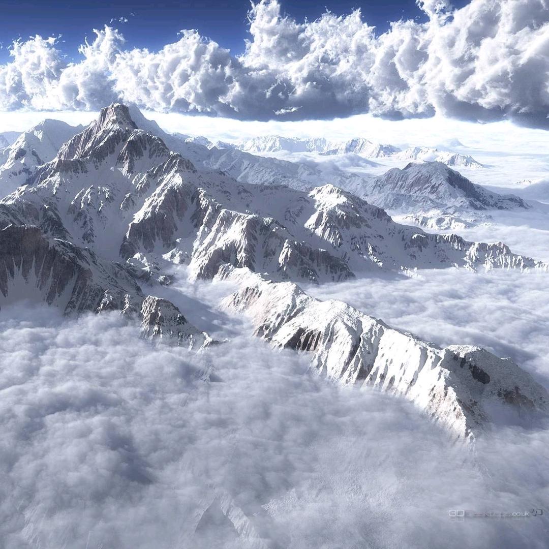 林苑枫樺