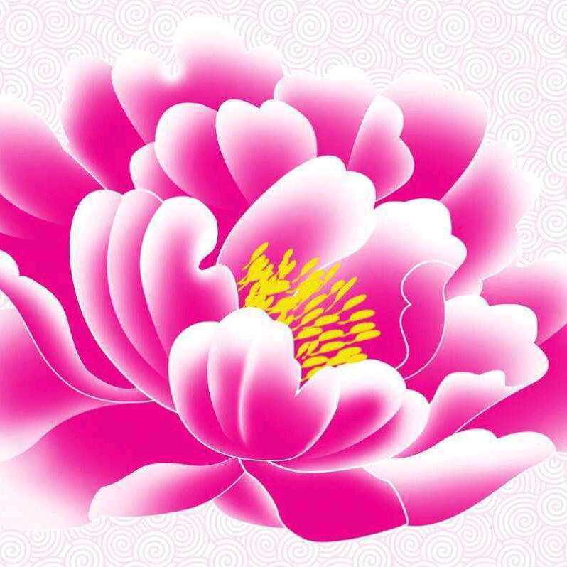 花花世界