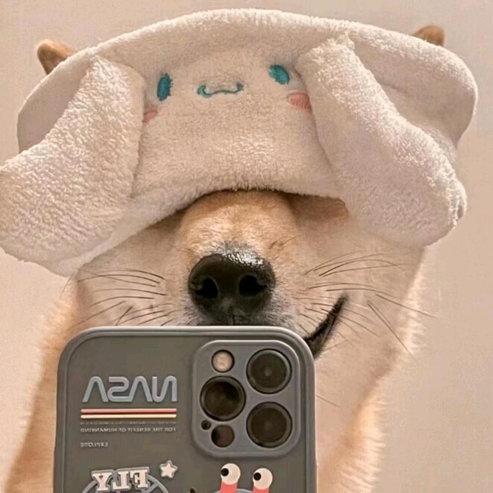 在线等奶茶