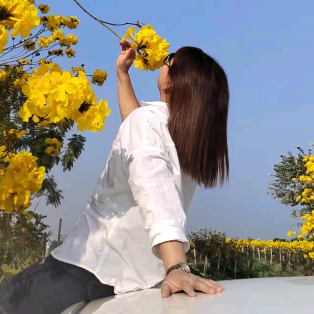 酒芳