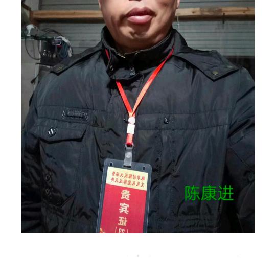 陈康进