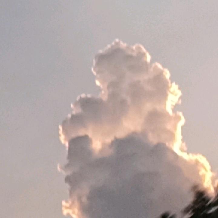 小白兔🐇