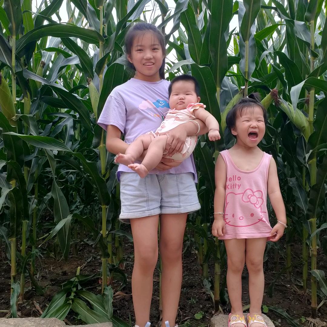 微尘淡陌