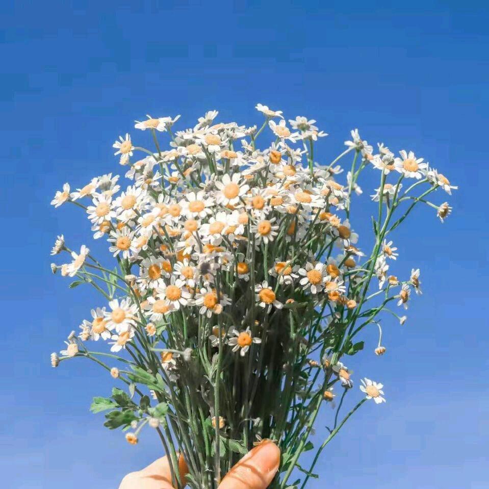 小佐