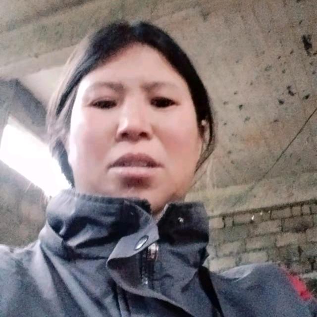晓曦