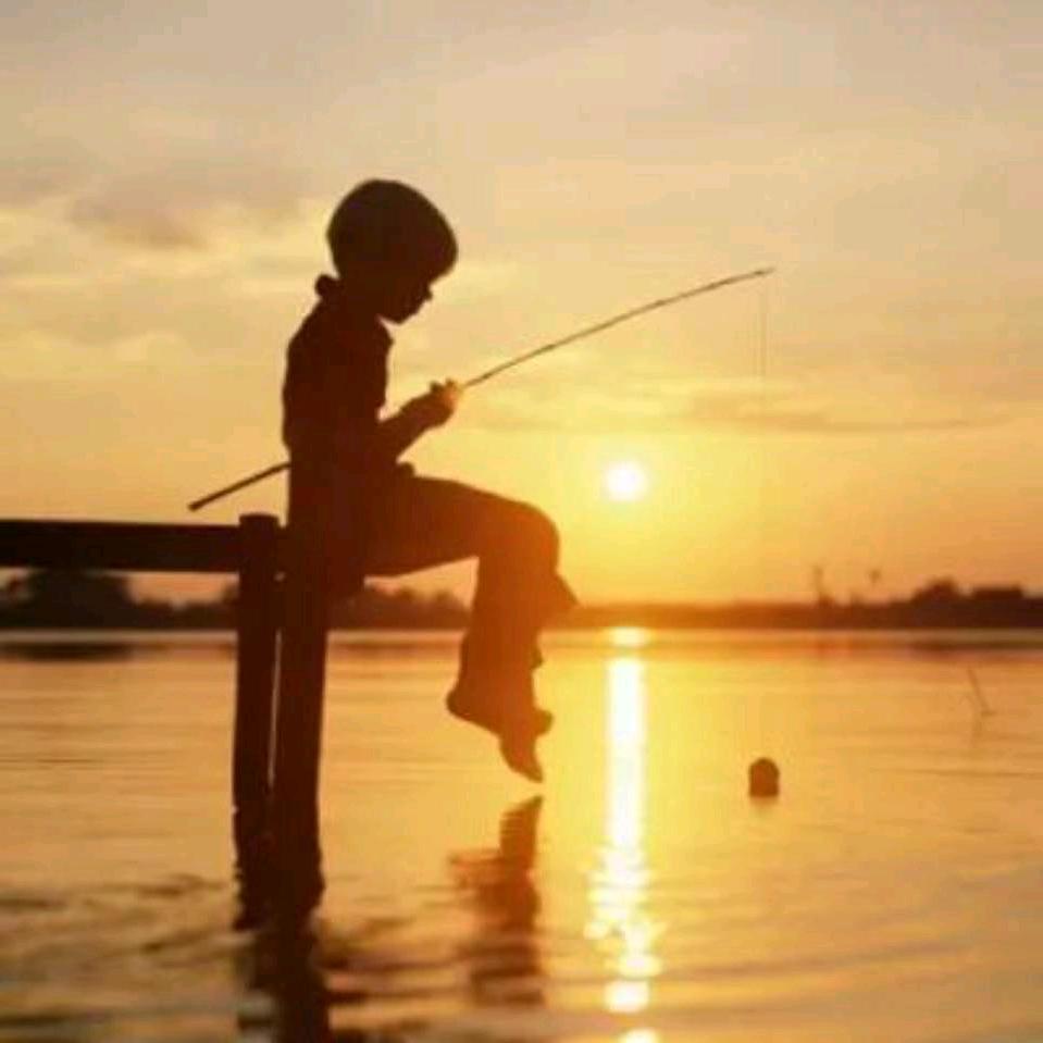 租房小飞飞信息咨询部