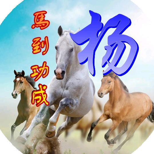 杨杰（恩师滕正伟）