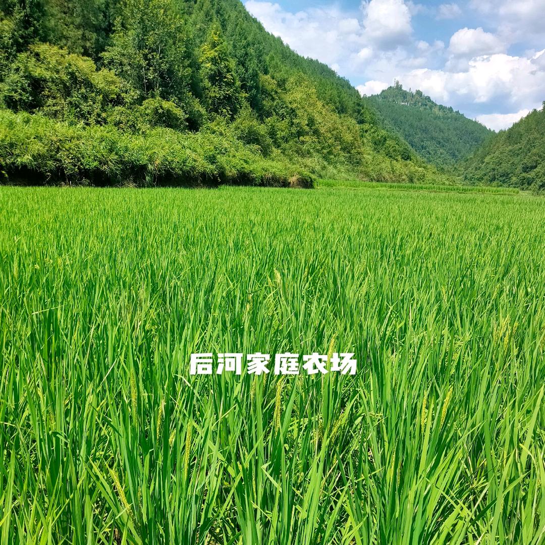@秋秋🧚
