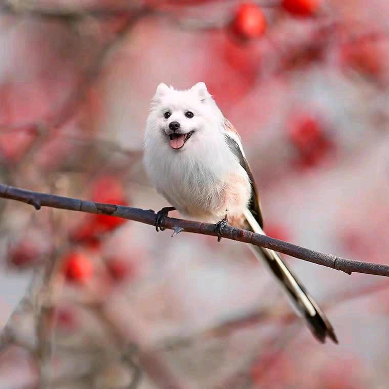 简真