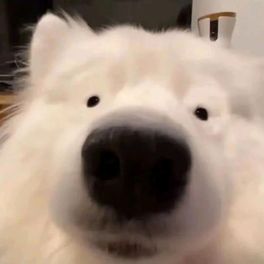 屋歇歇