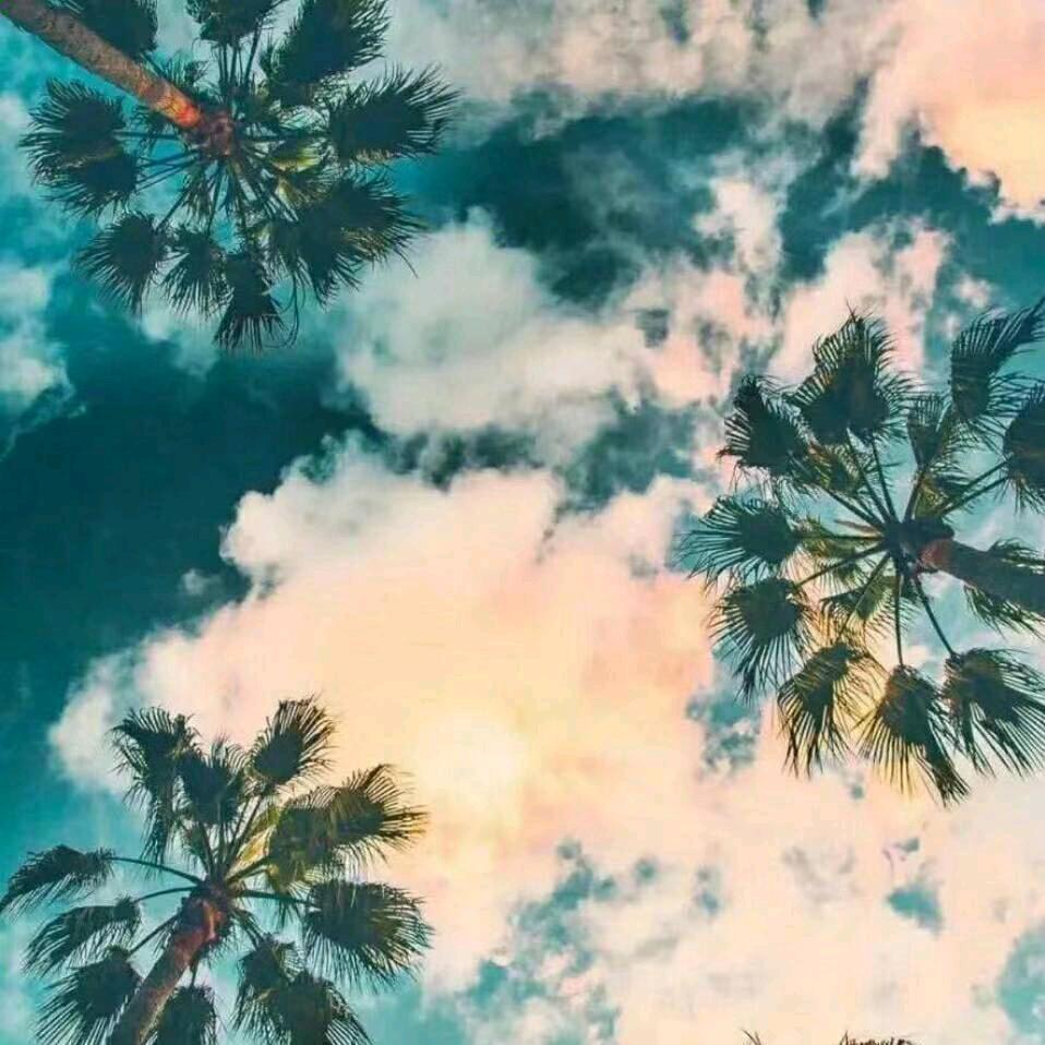 永恒的爱