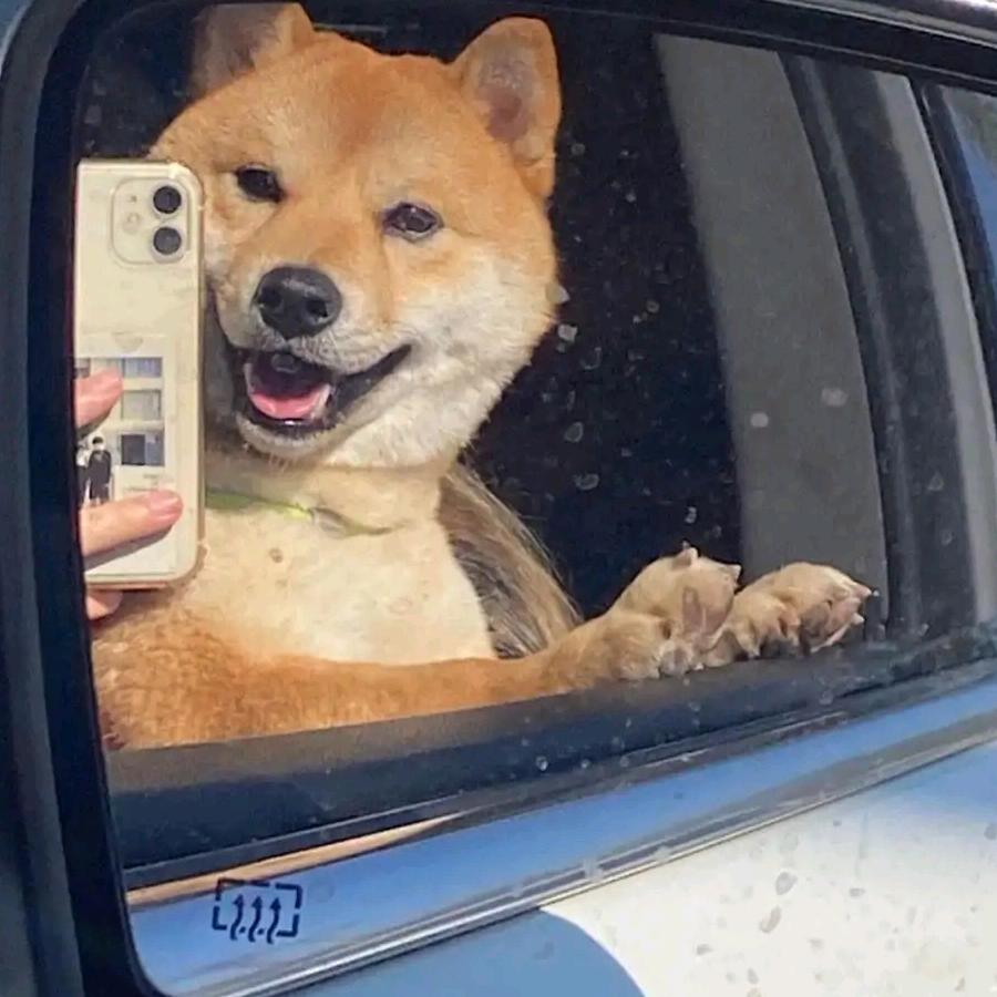 赵懒懒